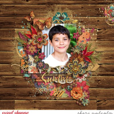 A Harvest of Memories