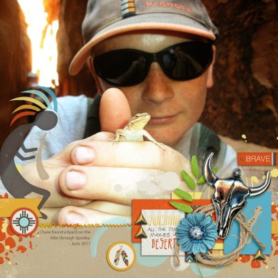 lizard