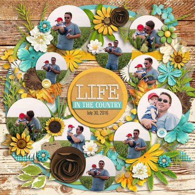 Life in the Country