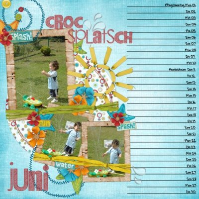 Calendar 2009 June