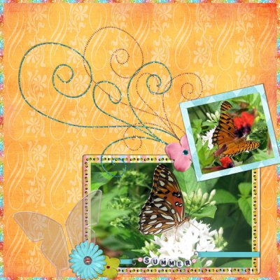 butterfly