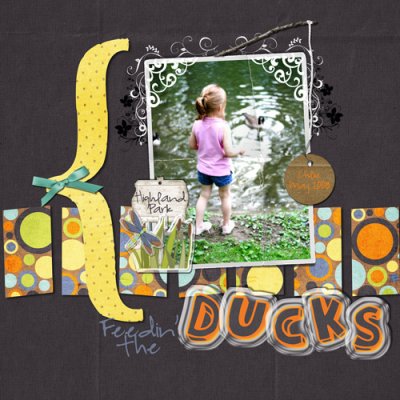 Feeding the Ducks