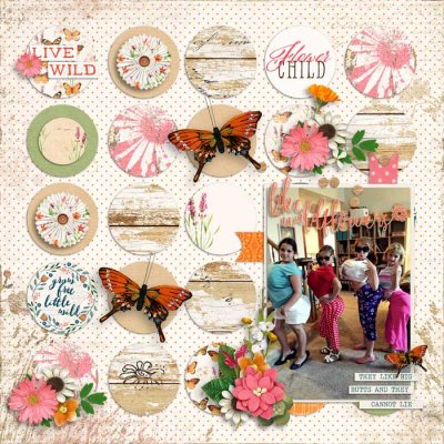 open house scraplift