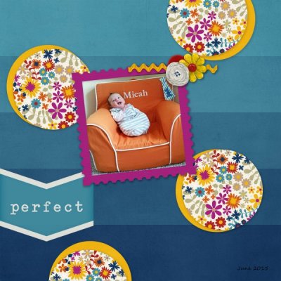 Perfect - Designer inspiration Traci Reed