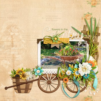 Country flowers