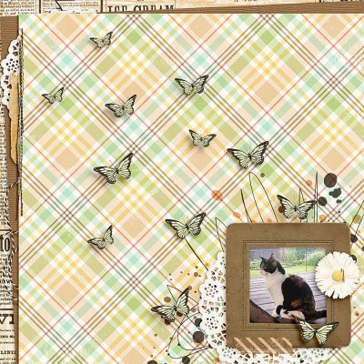 Butterflies