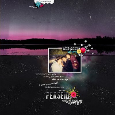 Perseid Meteors