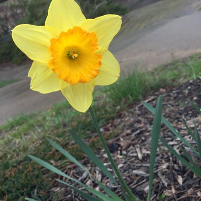 Spring has sprung! - Open House 17th