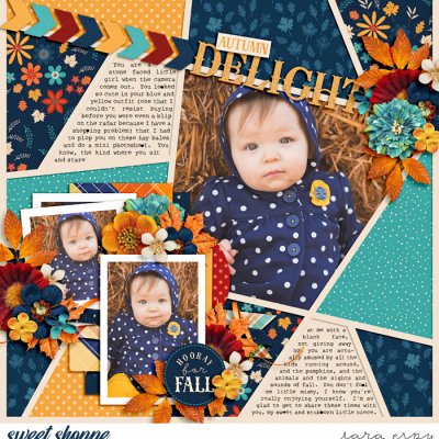autumn-delight-wm