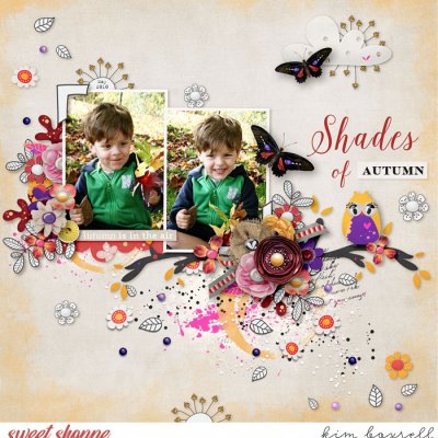 Shades of Autumn