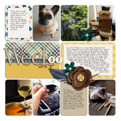 Project Life Week 37