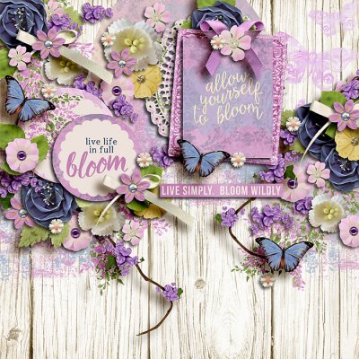 Live Life in Full Bloom