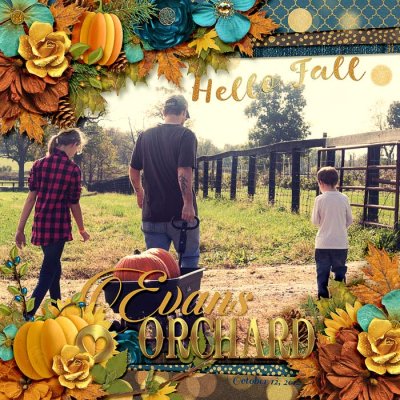Evans Orchard