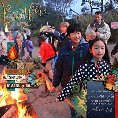 bonfire