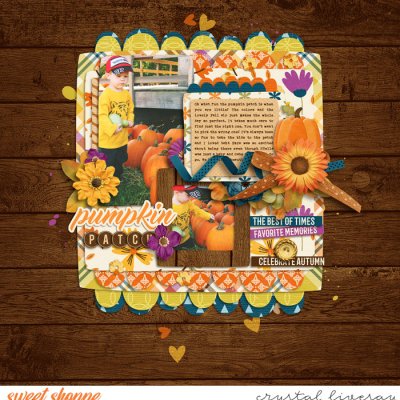 pumpkin patch
