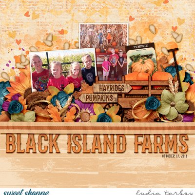 Black Island Farms Hay Ride