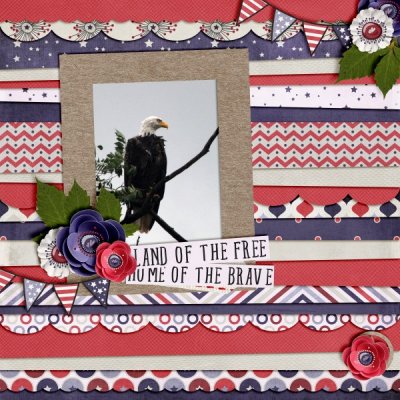Free & Brave