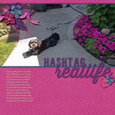 Live With Tiger #24 Daily Routines