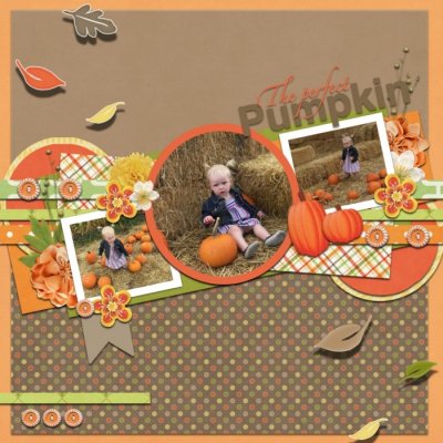the perfect pumpkin
