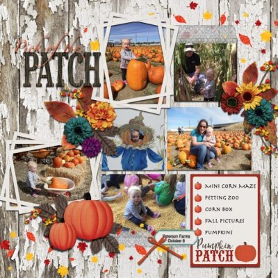 pick of the patch