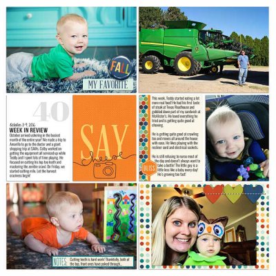 Project 2016- Week 40 (left)