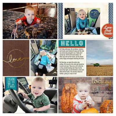 Project 2016- Week 40 (right)