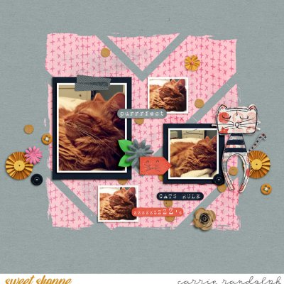Cats Rule