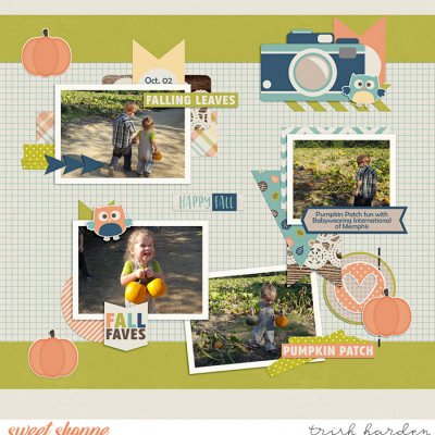 pumpkin patch