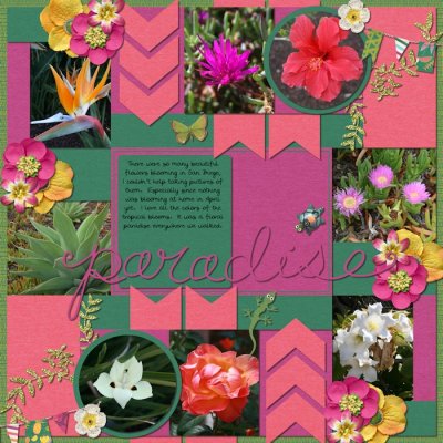 San Diego Vacation Page 16