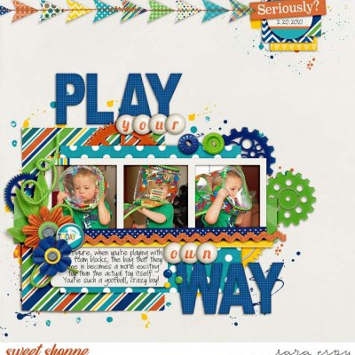 play-your-own-way-wm