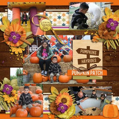 Pumpkin Patch