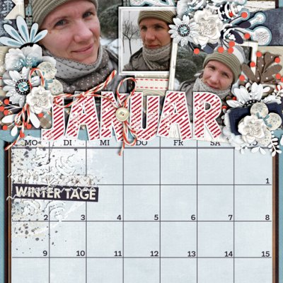 2017 Calendar - January
