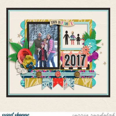 2017 Calendar Cover