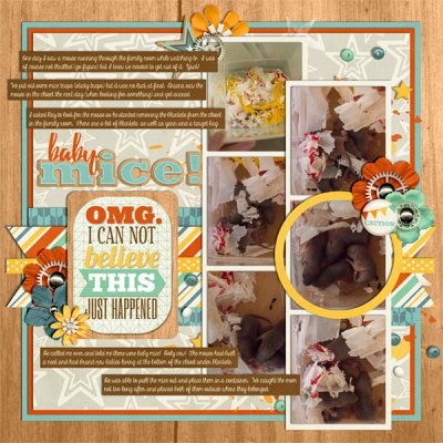 wc_Oct_babymice2016