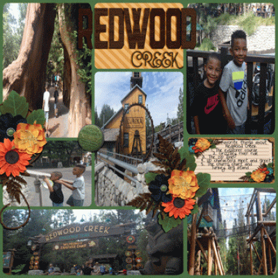 Redwood Creek