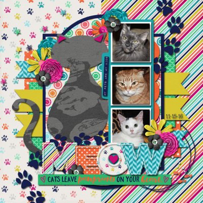 MEOW