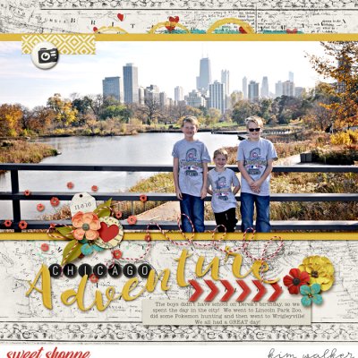 Chicago Adventure
