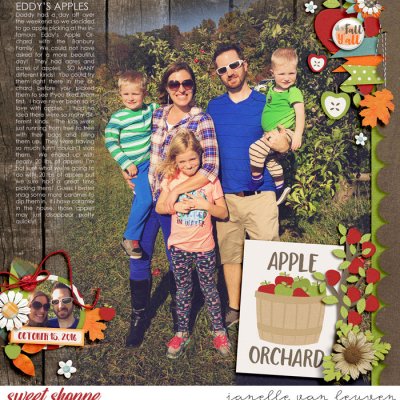 Apple Orchard