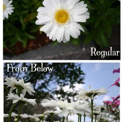 Shutterbug 18 - Perspective