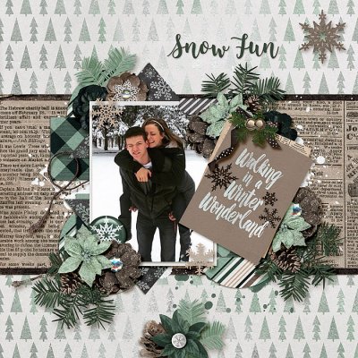 Snow Fun