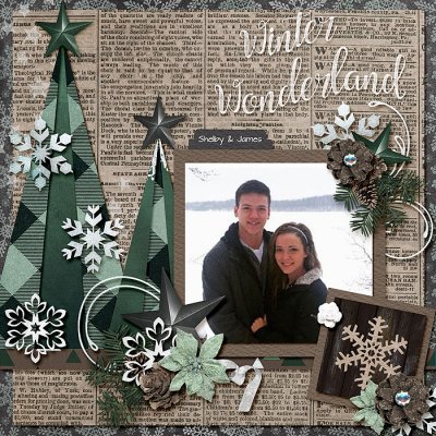 Winter Wonderland