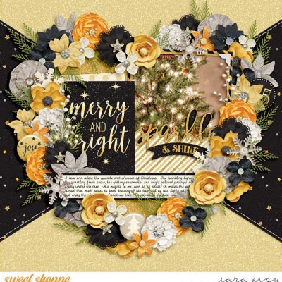 sparkle-and-shine-wm