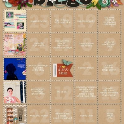 Bingo Nov