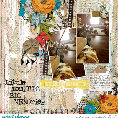 Little Moments Big Memories