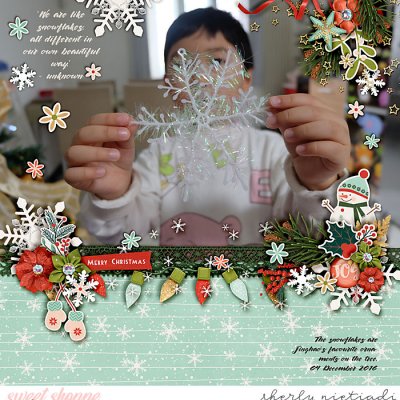 Merry Christmas