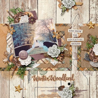 Winter Woodland
