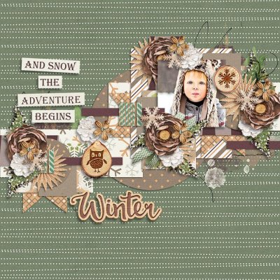 winterwoodland-77
