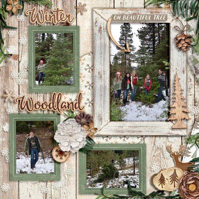 Winter Woodland