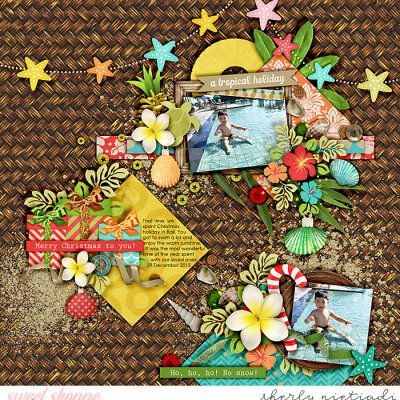 a tropical holiday