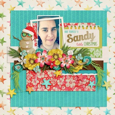 Have a Sandy Christmas